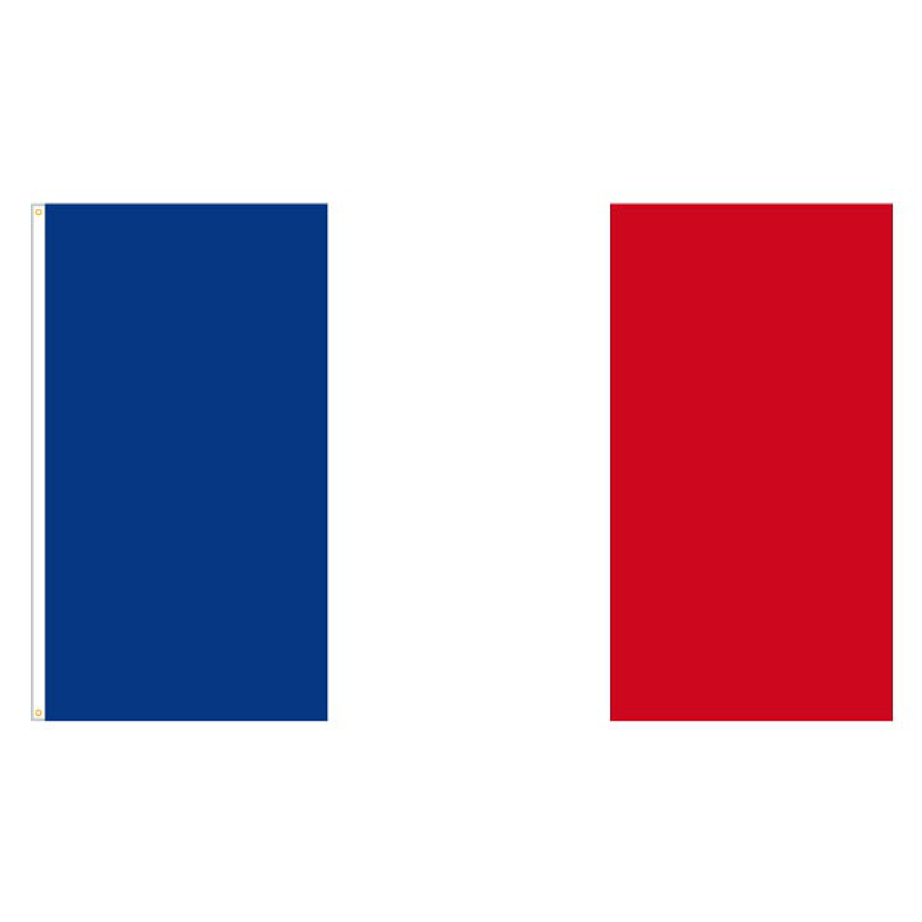 Lilienbanner Frankreich  Flagge Fahne Hißflagge Hissfahne 150 x 90 cm 