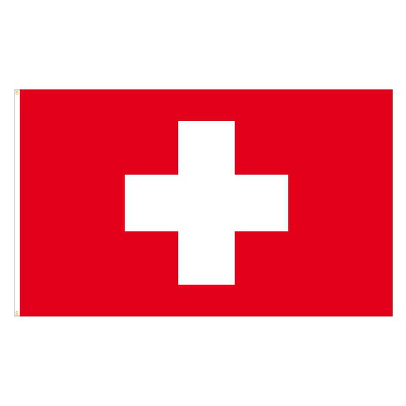 90 x 90 cm Fahne Flagge Schweiz