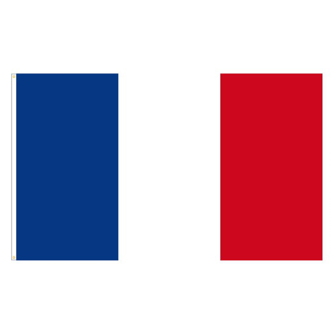 2 stück Frankreich Flagge,90×150 cm Französische Fahne mit Messingösen  Wetterfest Farbecht France flag für Fußball WM 2022 Deko Draußen/Drinnen :  : Garten