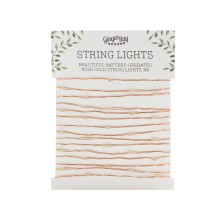 1 String Lights - Rose Gold