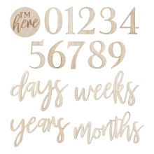 17 Milestone Mix and Match Signs - Wooden