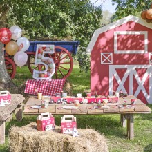 Party Bag - Barn Shaped with Customisable Stickers