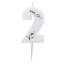 1 Candle - Number 2 - Pressed Foliage