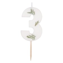 1 Candle - Number 3 - Pressed Foliage