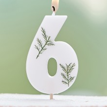 1 Candle - Number 6 - Pressed Foliage