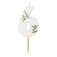 1 Candle - Number 6 - Pressed Foliage
