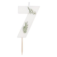 1 Candle - Number 7 - Pressed Foliage
