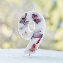 1 Candle - Number 9 - Pressed Petals